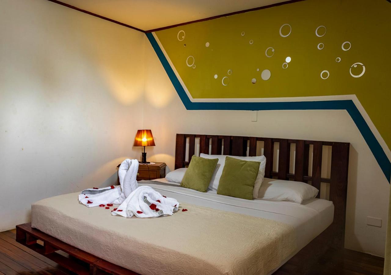 Eco Stay Hostel San José Eksteriør billede